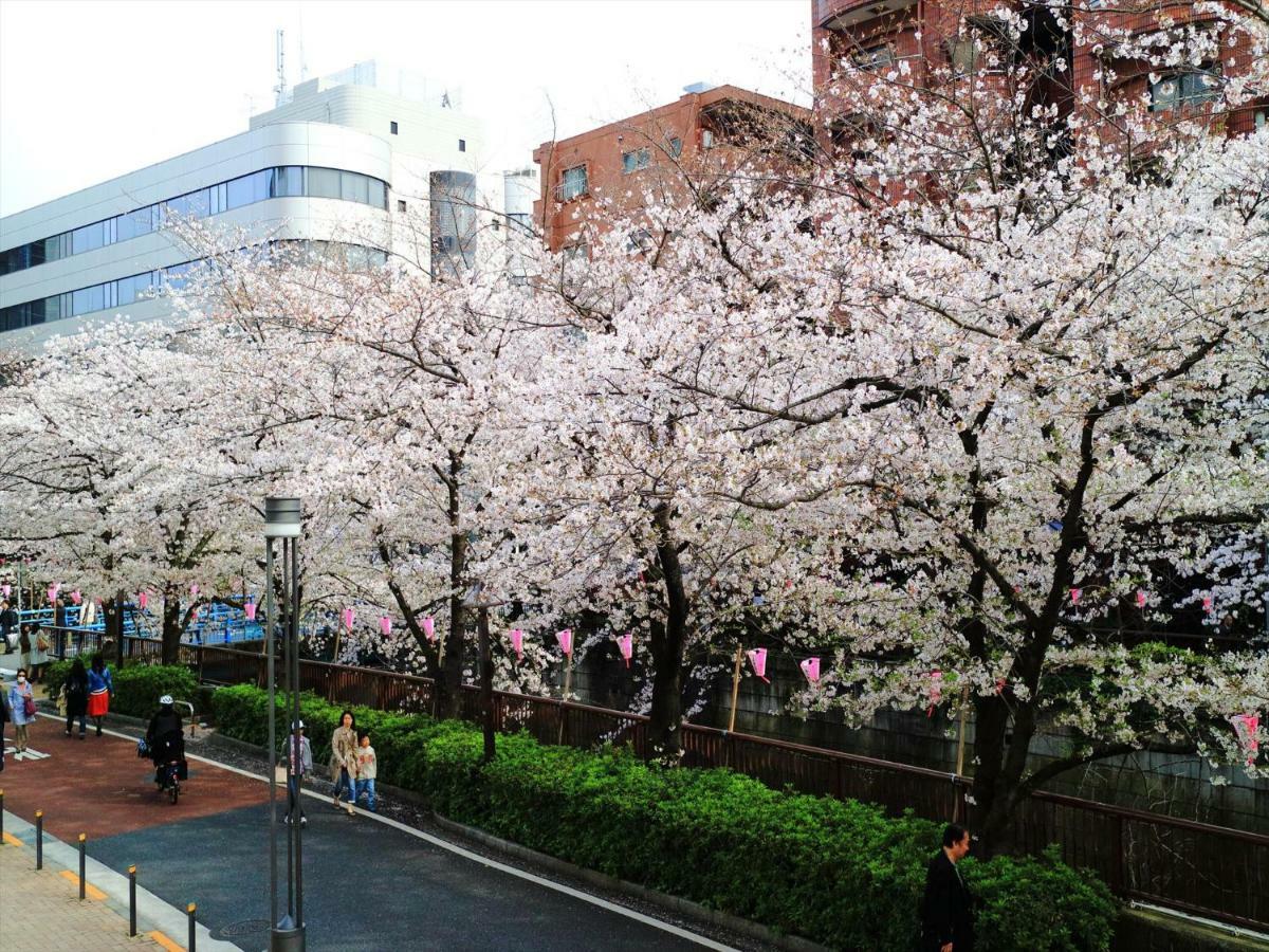 Coto Tokyo Shibuya 6 Daire Dış mekan fotoğraf
