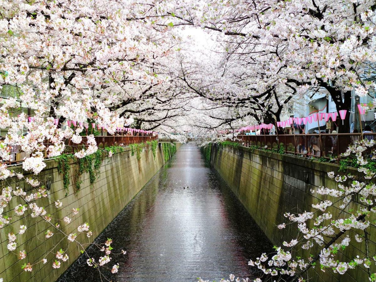 Coto Tokyo Shibuya 6 Daire Dış mekan fotoğraf
